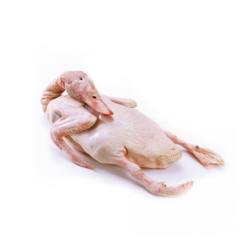 Deshi Hash (দেশি হাঁস)